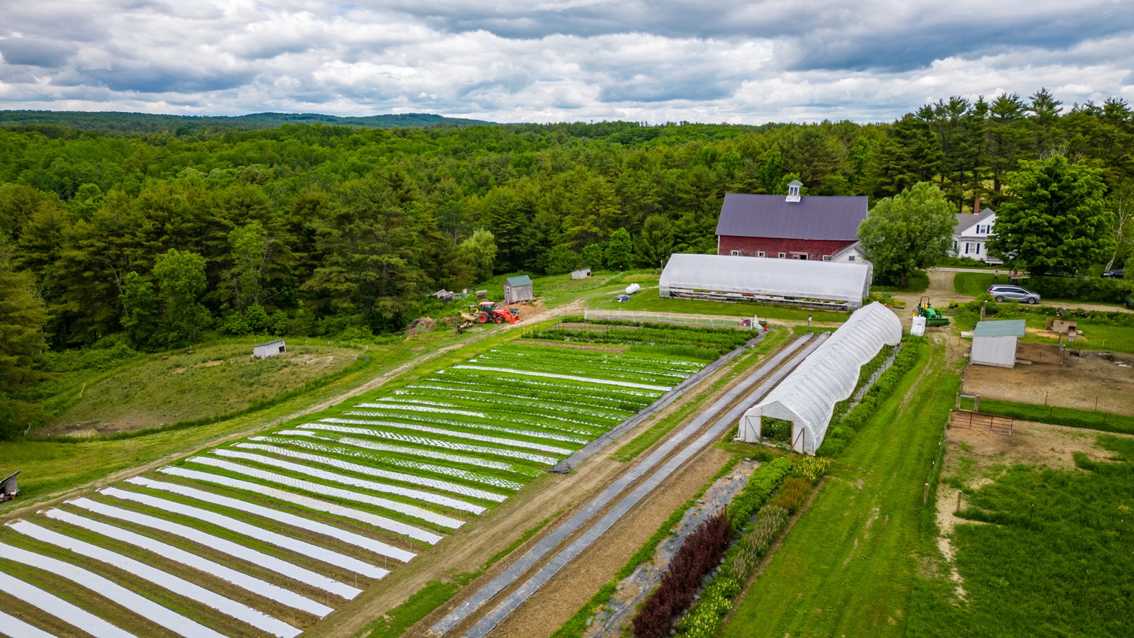 The farm from above — the red barn, greenhouses and covered rows against the treeline
